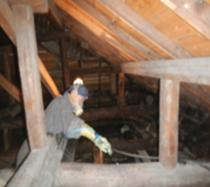 江戸時代、元和に建立させたお寺で、屋根裏でテッポウムシの駆除を行いました。