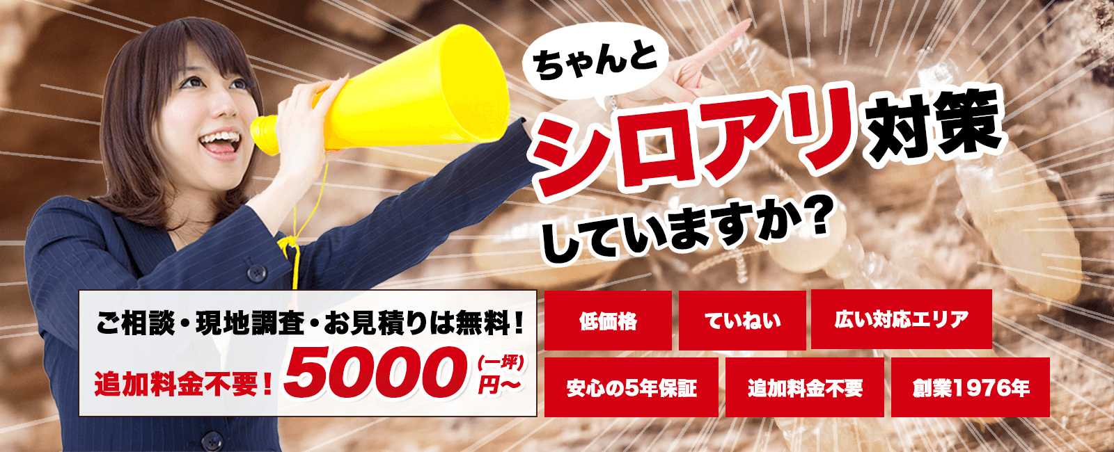 あなたの家はちゃんとシロアリ対策していますか?