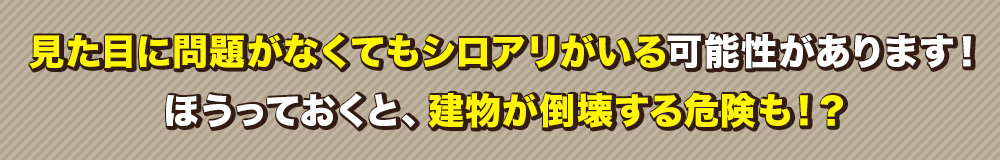 見た目に問題がなくてもシロアリがいる可能性があります!ほうっておくと、家が倒壊する危険も!?