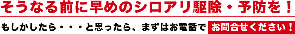 そうなる前に早めのシロアリ駆除・予防を!もしかしたら・・・と思ったら、まずはお電話でお問い合わせください!